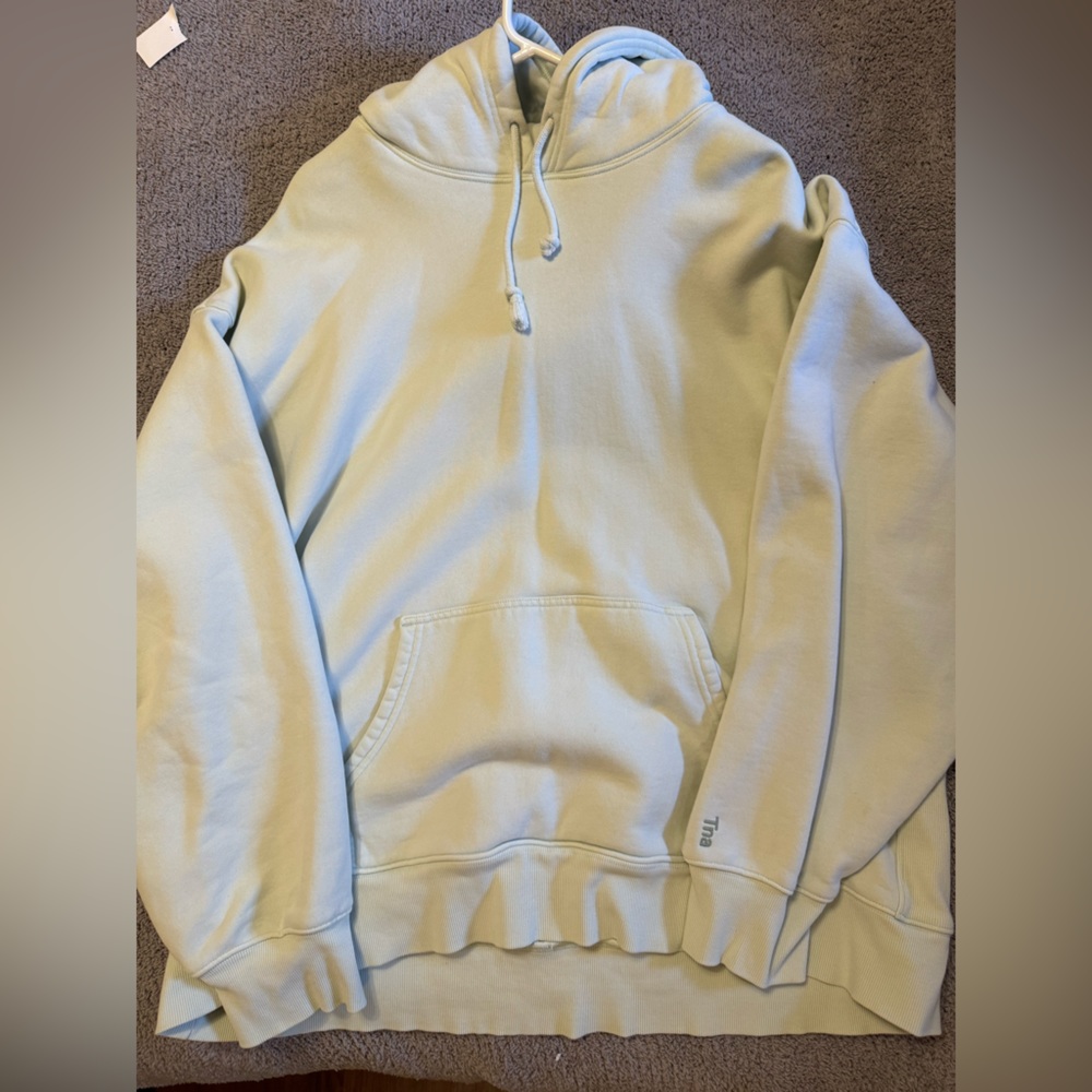 Aritzia TNA Boyfriend Hoodie